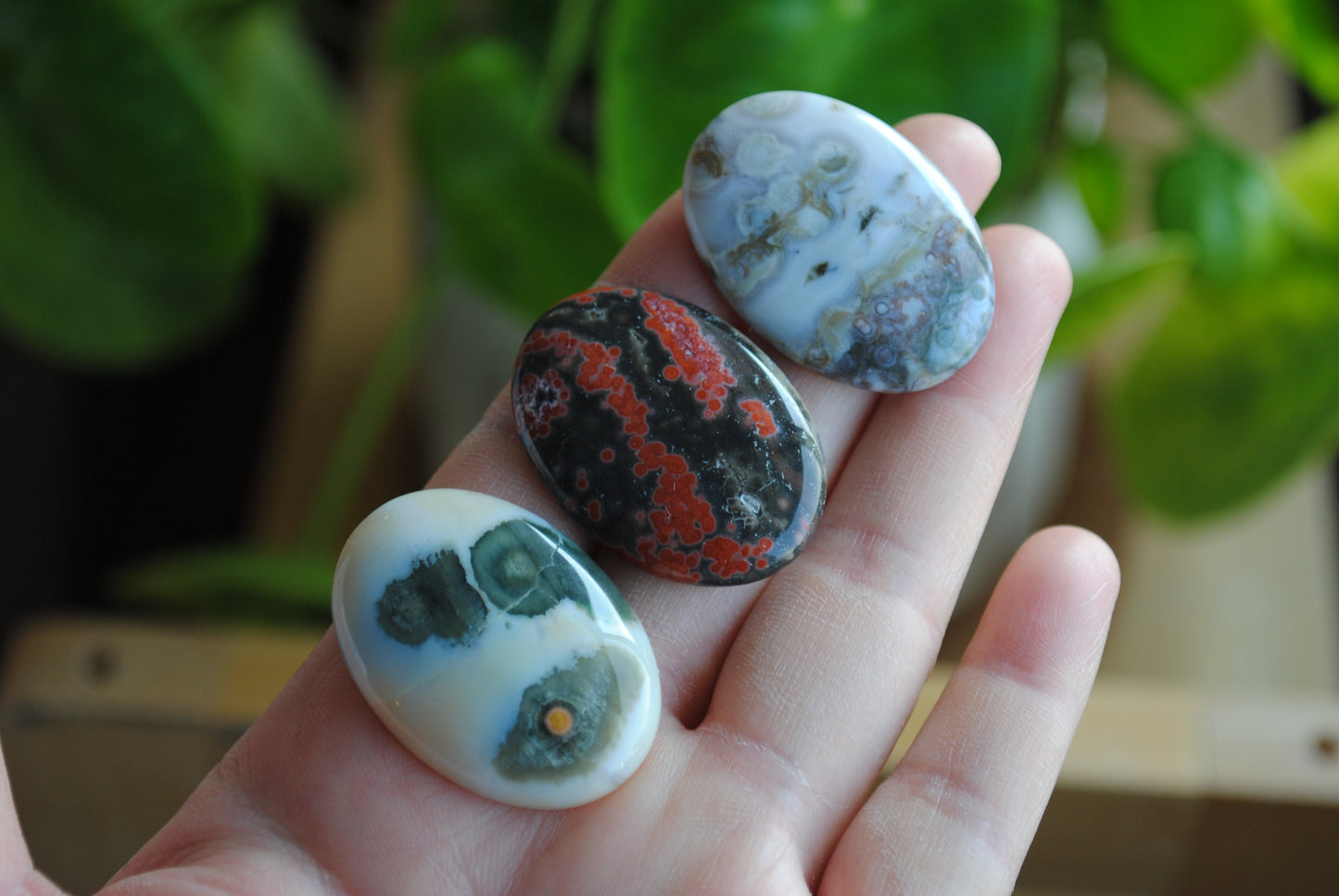 Ocean Jasper 35x25mm oval cabochons (Lot G)