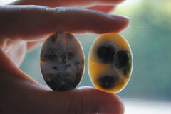 Ocean Jasper 35x25mm oval cabochons (Lot G)