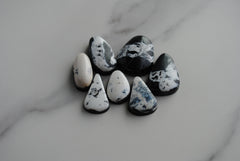 White Buffalo cabochons (lot C)