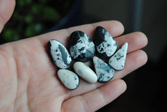 White Buffalo cabochons (lot C)