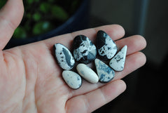 White Buffalo cabochons (lot C)