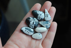 White Buffalo cabochons (lot C)