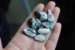 White Buffalo cabochons (lot C)