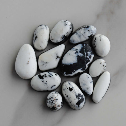 White Buffalo cabochons (lot D)