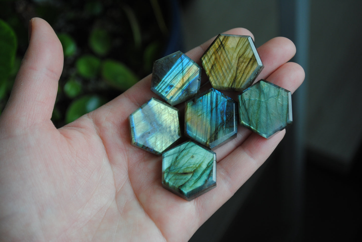 Labradorite hexagons (lot A)