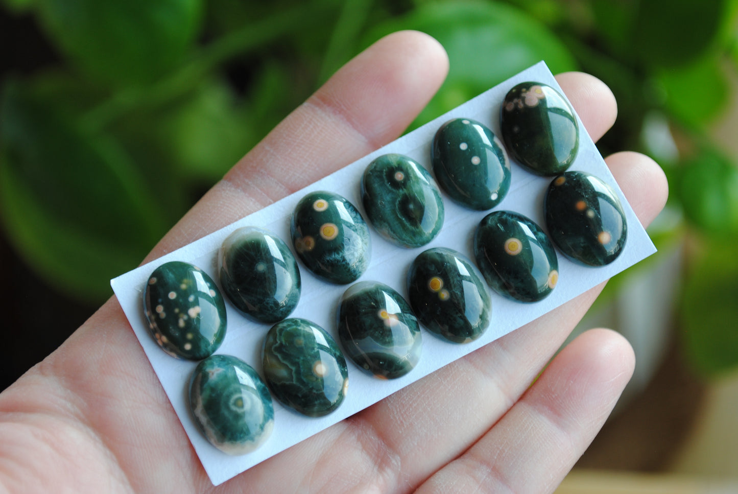 Ocean Jasper 18x13mm oval cabochons