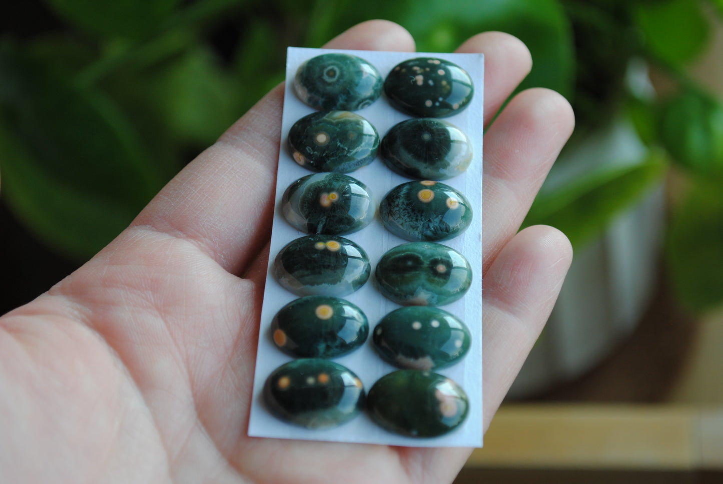 Ocean Jasper 18x13mm oval cabochons