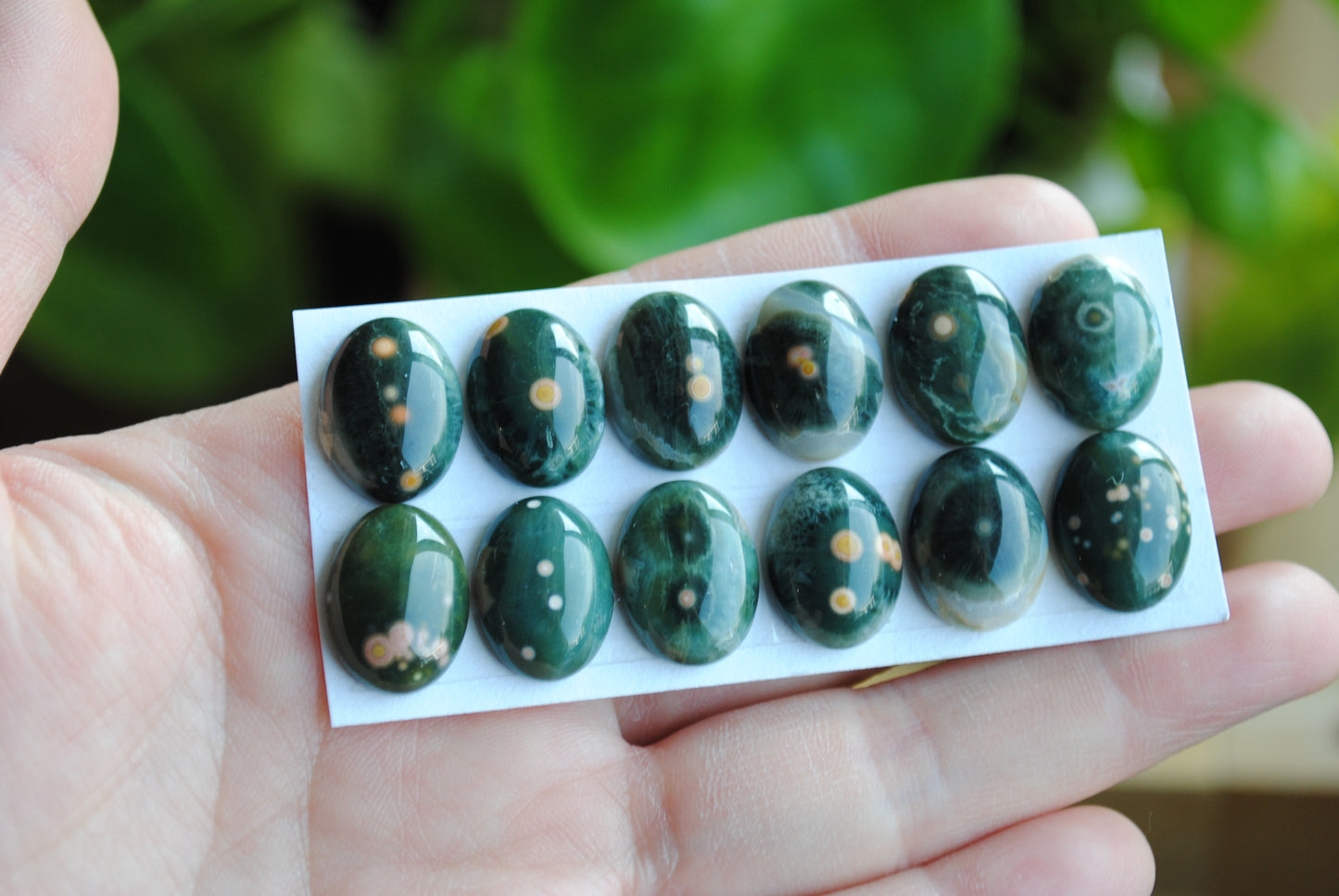 Ocean Jasper 18x13mm oval cabochons