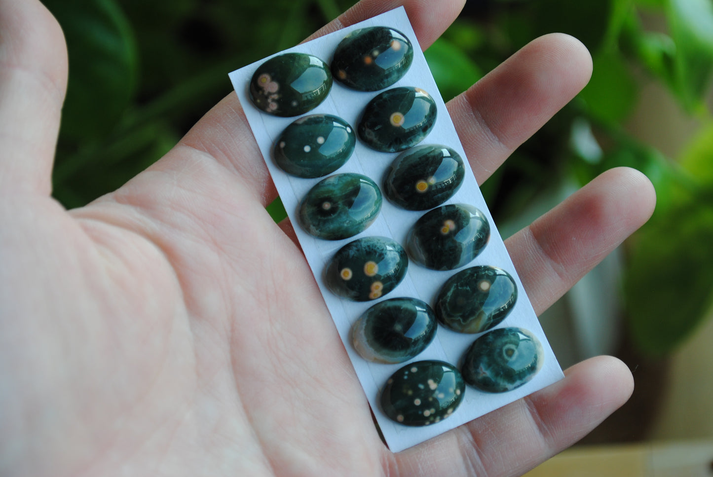 Ocean Jasper 18x13mm oval cabochons