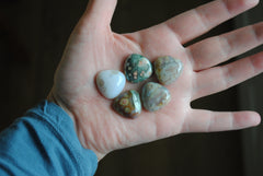 20mm trillion Ocean Jasper cabochons
