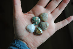 20mm trillion Ocean Jasper cabochons
