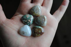 20mm trillion Ocean Jasper cabochons