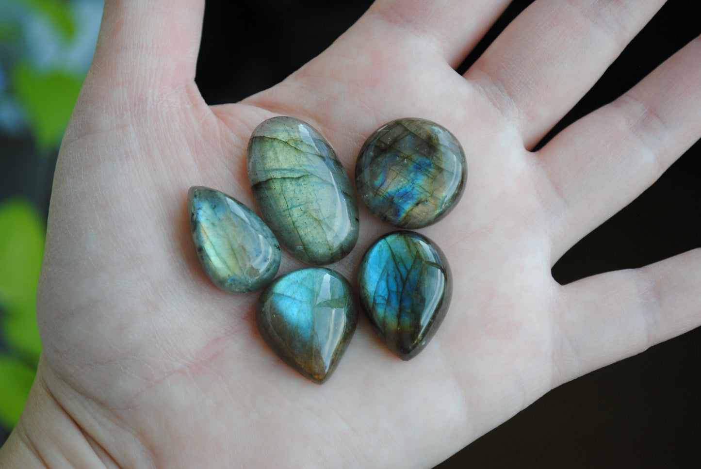 Labradorite cabochons on palm of hand