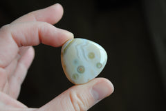 30mm trillion Ocean Jasper cabochon