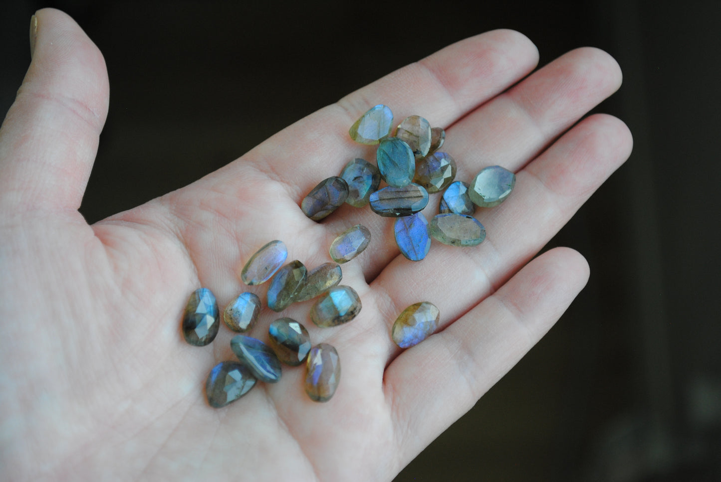 Labradorite rose cut cabochons on palm of hand
