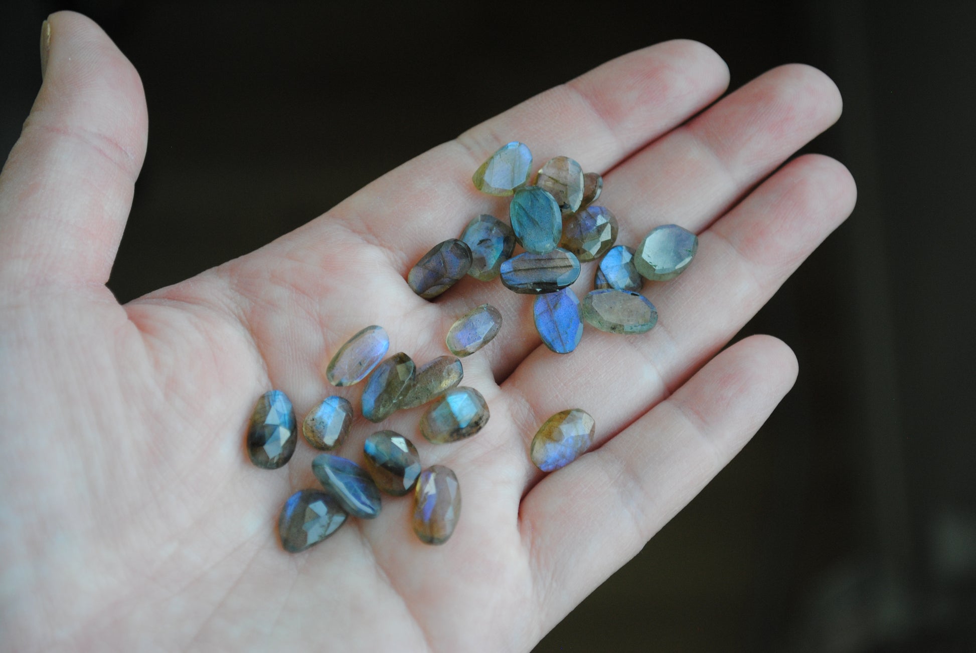 Labradorite rose cut cabochons on palm of hand