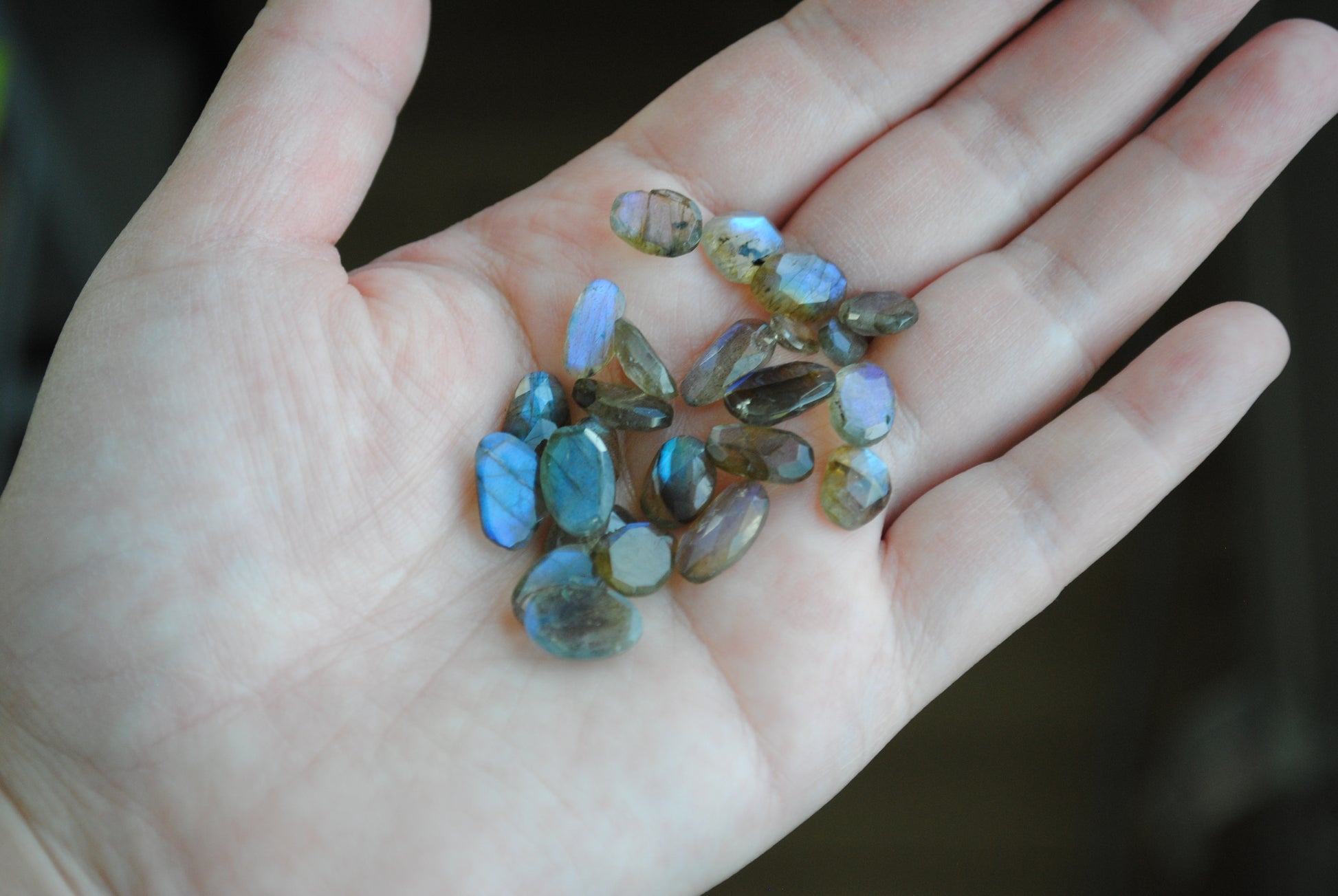 Labradorite rose cut cabochons on palm of hand