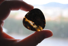 35mm trillion Ocean Jasper cabochon