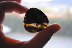 35mm trillion Ocean Jasper cabochon