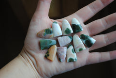 Ocean Jasper puff/tongue stones (Lot A)