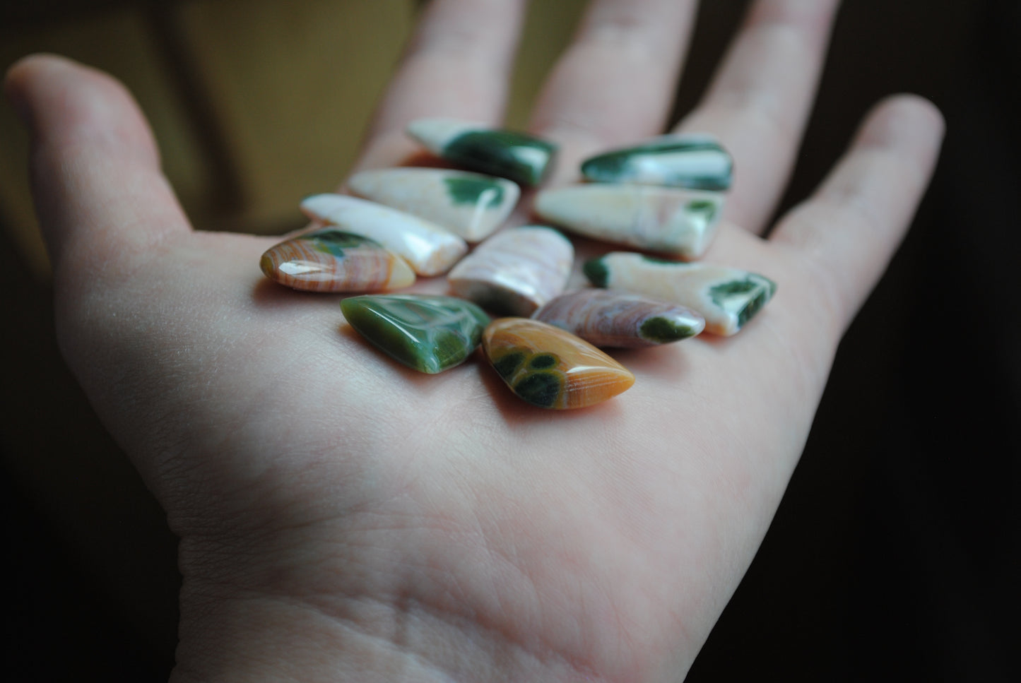 Ocean Jasper puff/tongue stones (Lot A)