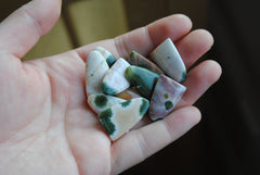 Ocean Jasper puff/tongue stones (Lot A)