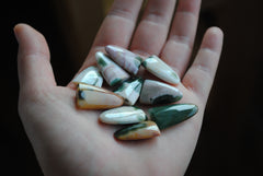Ocean Jasper puff/tongue stones (Lot B)
