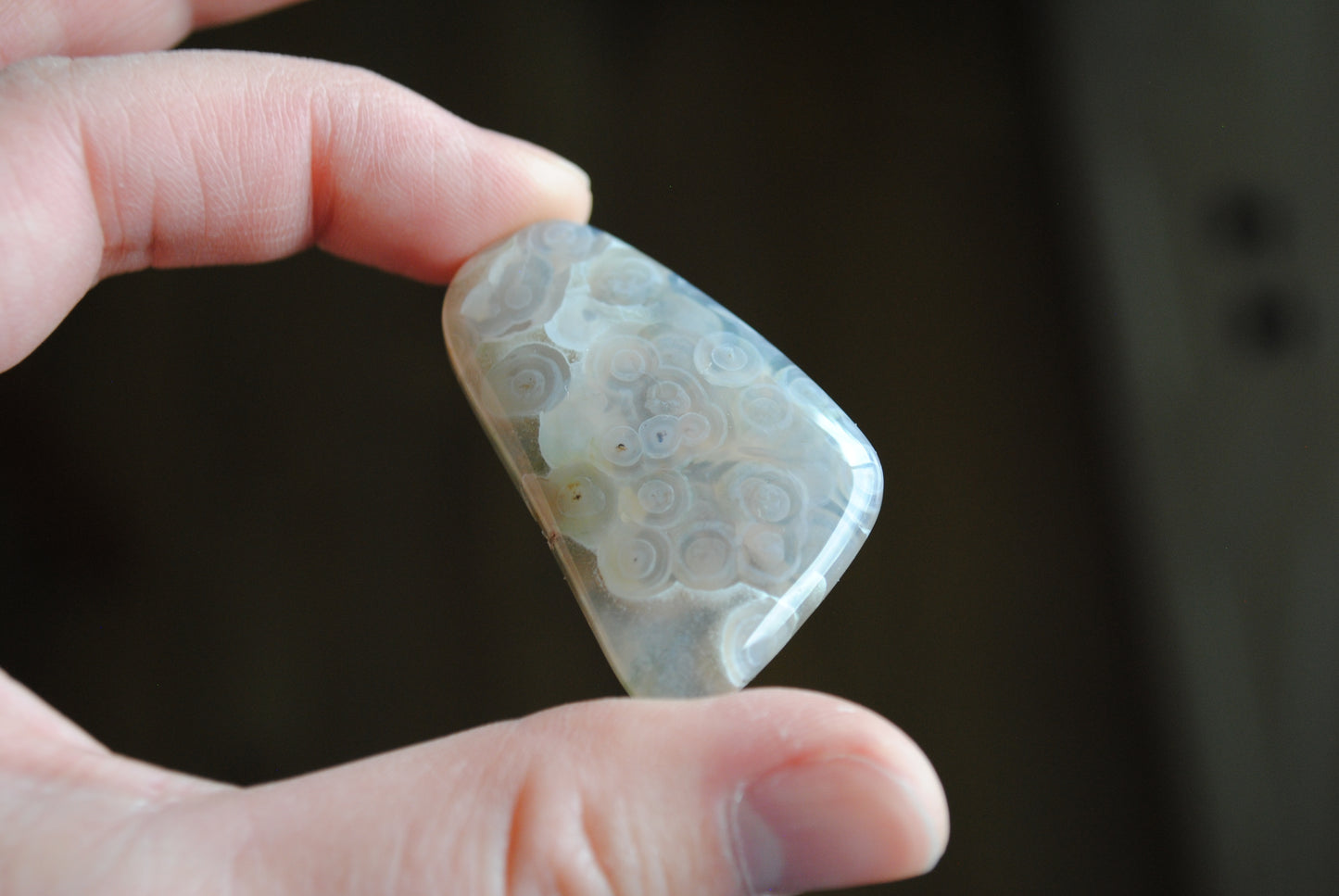 Ocean Jasper freeform cabochon