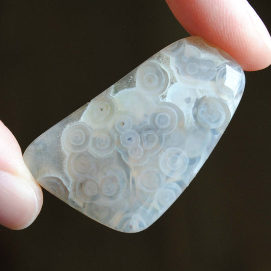 Ocean Jasper freeform cabochon