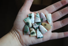 Ocean Jasper puff/tongue stones (Lot C)