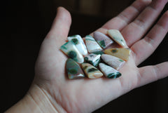 Ocean Jasper puff/tongue stones (Lot C)