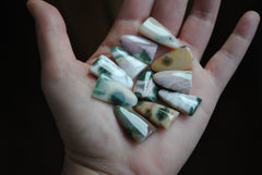 Ocean Jasper puff/tongue stones (Lot C)