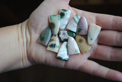 Ocean Jasper puff/tongue stones (Lot C)