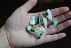 Ocean Jasper puff/tongue stones (Lot C)
