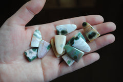 Ocean Jasper puff/tongue stones (Lot C)