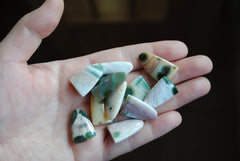 Ocean Jasper puff/tongue stones (Lot C)