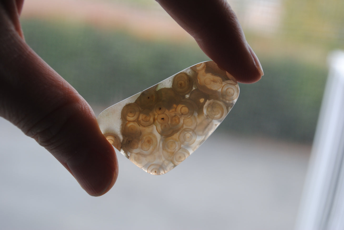 Ocean Jasper freeform cabochon