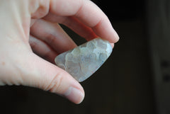 Ocean Jasper freeform cabochon