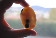 Ocean Jasper freeform cabochon