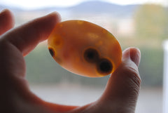 Ocean Jasper freeform cabochon