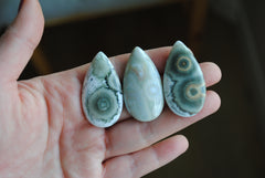 40 x 22mm drop Ocean Jasper cabochons