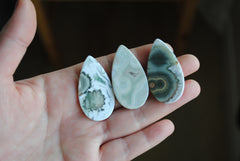 40 x 22mm drop Ocean Jasper cabochons