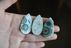 40 x 22mm drop Ocean Jasper cabochons