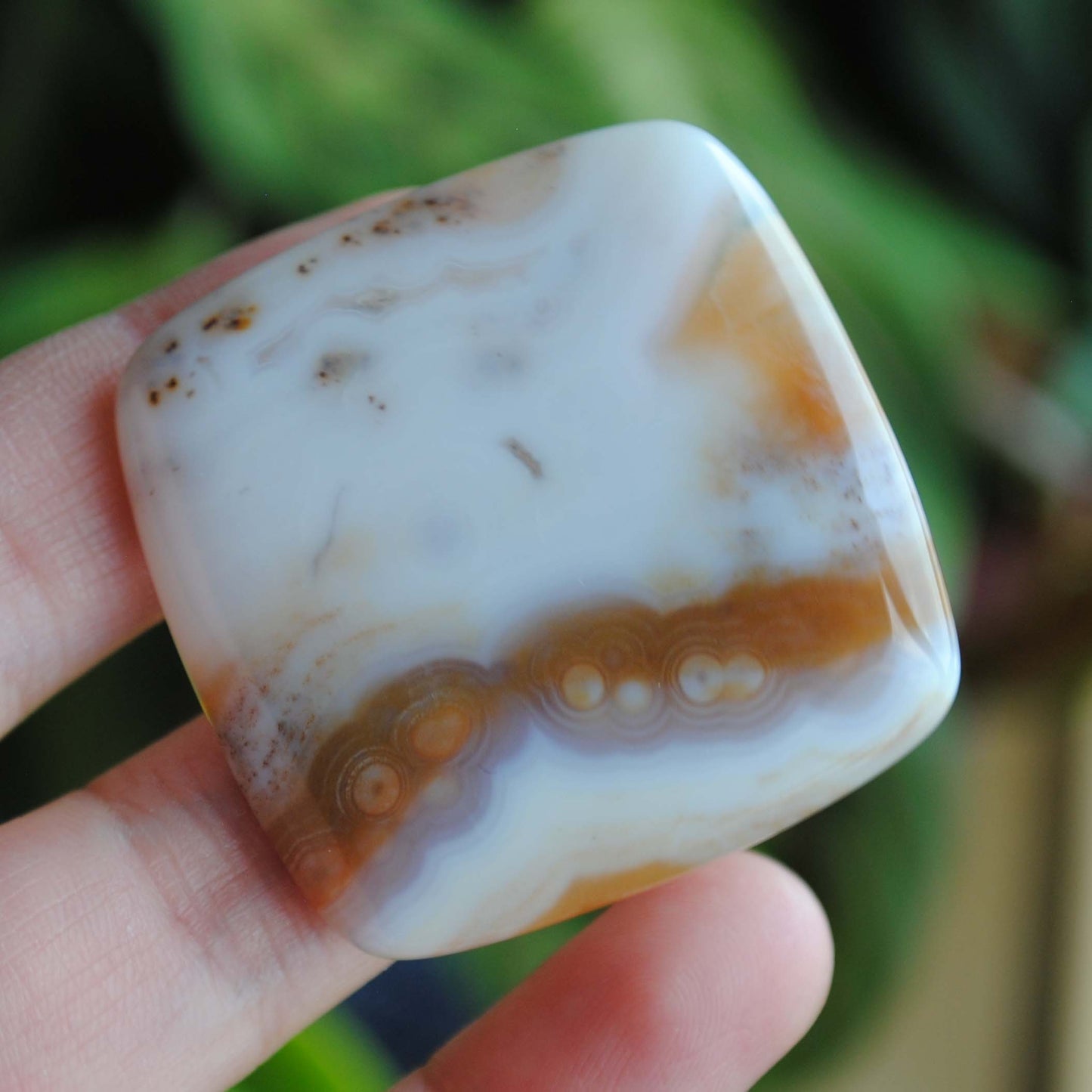 Square 40mm Ocean Jasper cabochon
