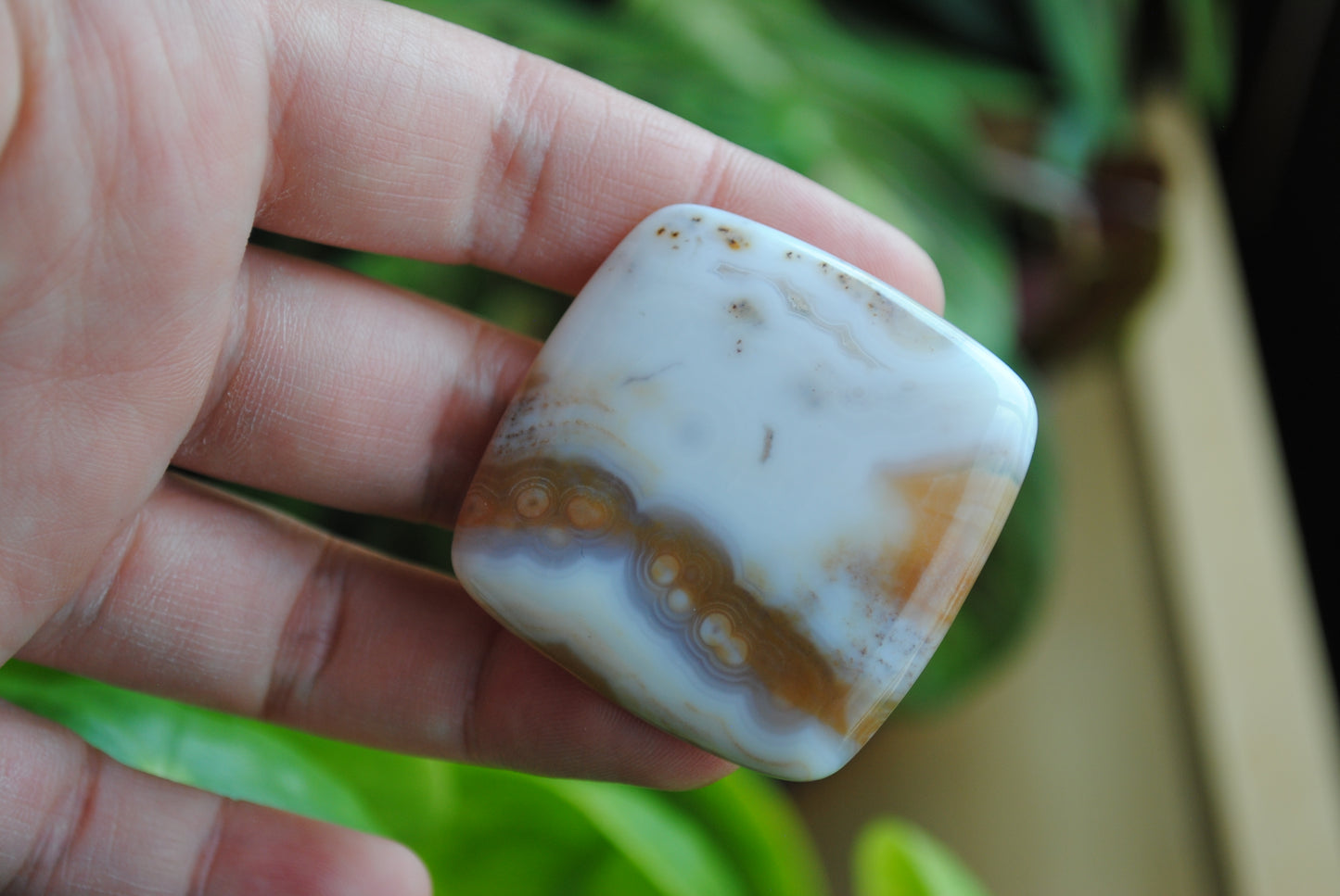 Square 40mm Ocean Jasper cabochon