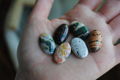 23x14mm oval Ocean Jasper cabochons (Lot B)