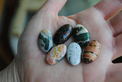 23x14mm oval Ocean Jasper cabochons (Lot B)