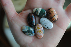 23x14mm oval Ocean Jasper cabochons (Lot B)