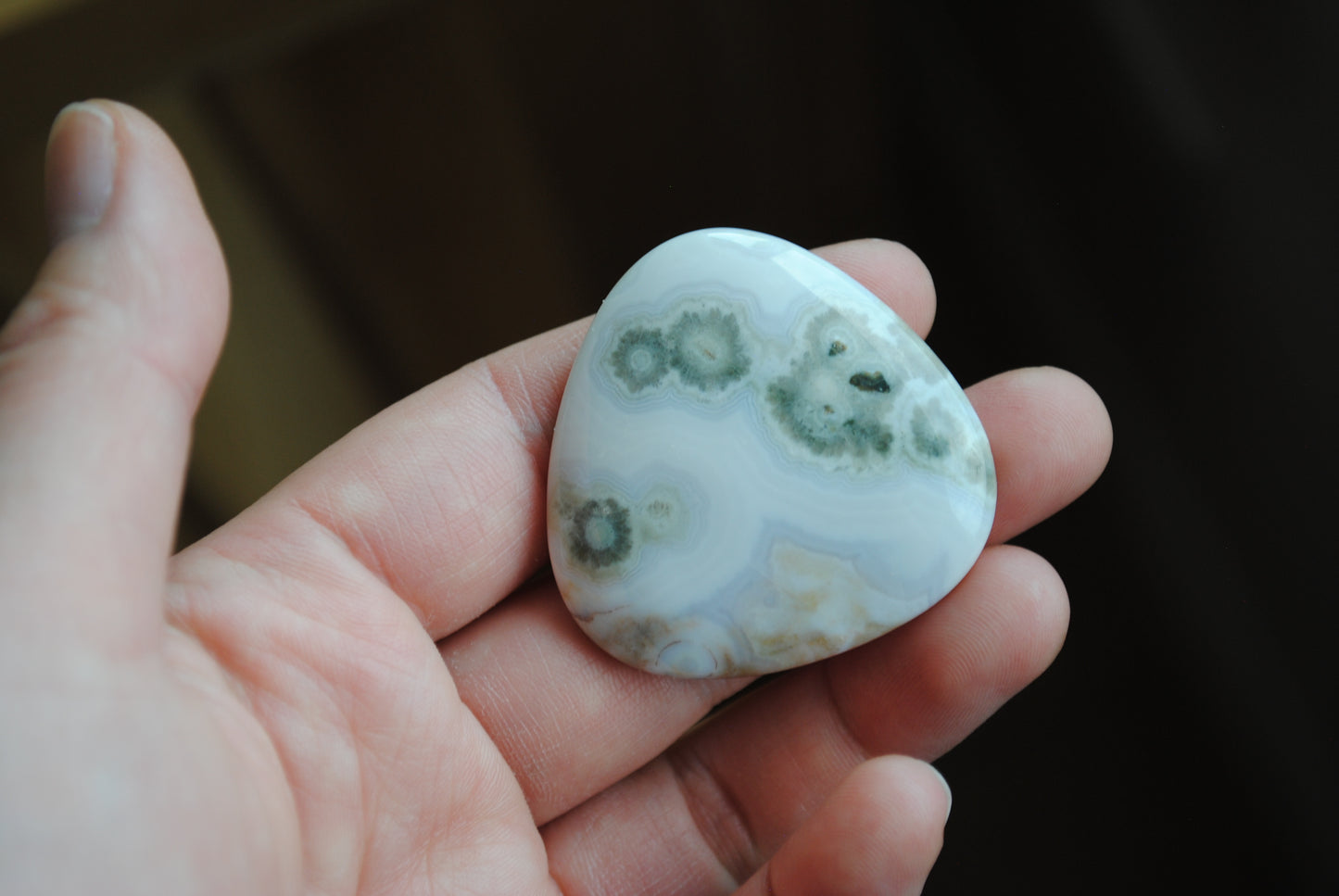 40mm trillion Ocean Jasper cabochon