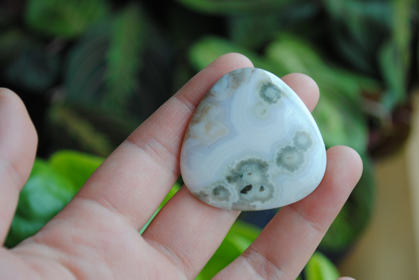 40mm trillion Ocean Jasper cabochon